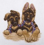 (image for) Pair Of Twins